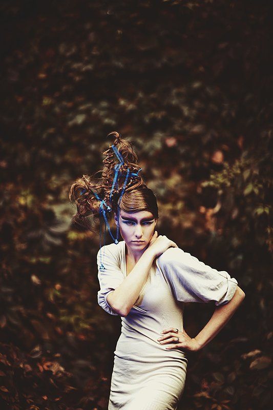 l\'arbre фото превью