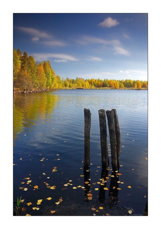 ** фото превью