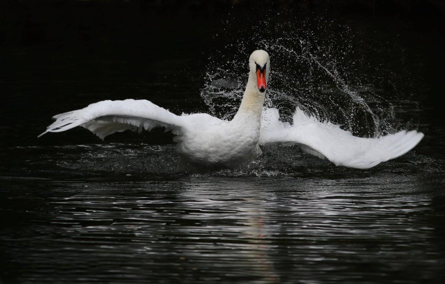 , Зоя Лаптева