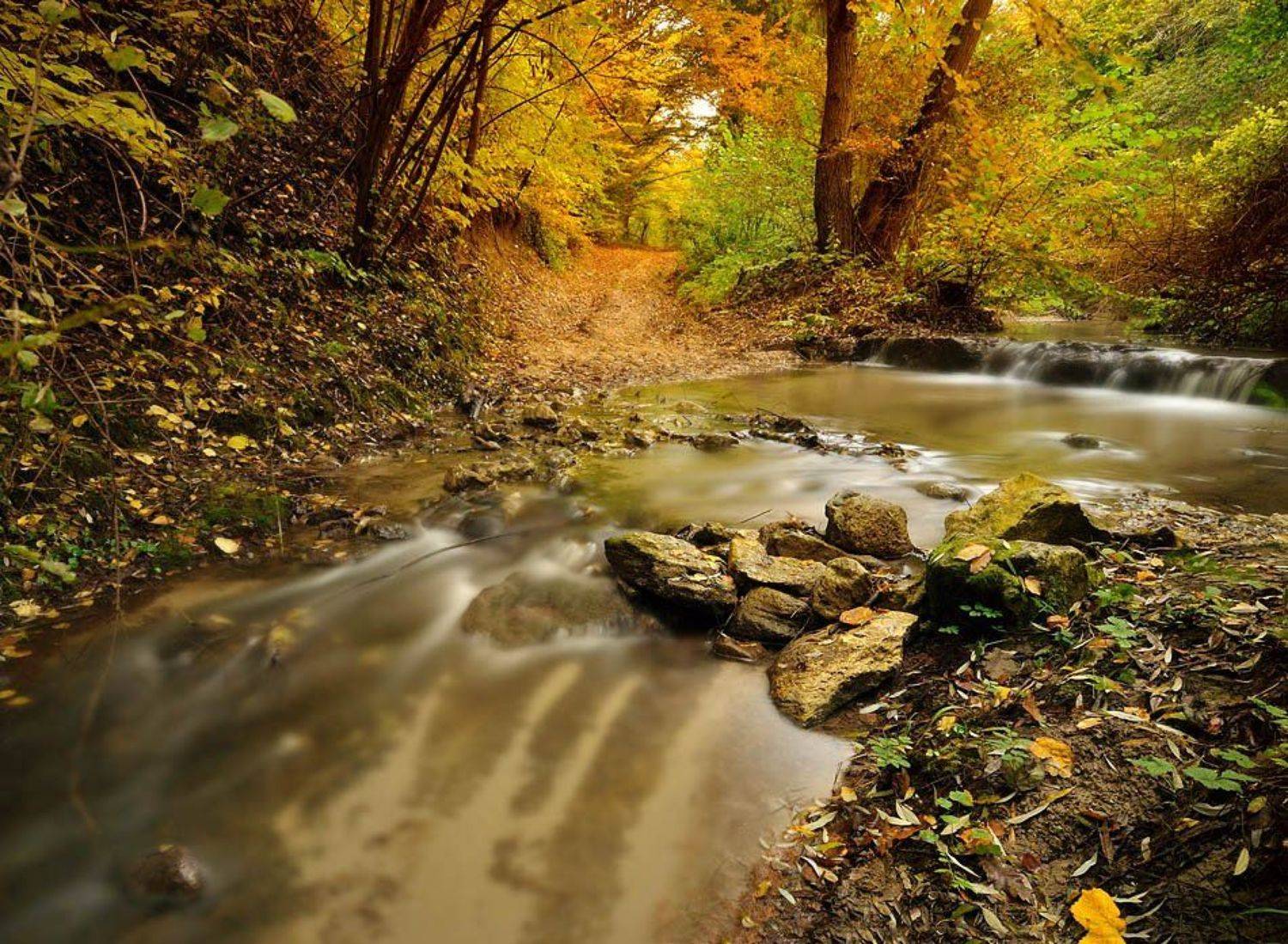 varna, bulgaria, Rumen Kostadinov
