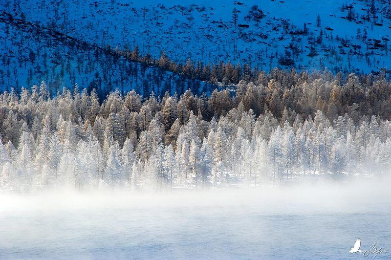 Морозное утро фото превью