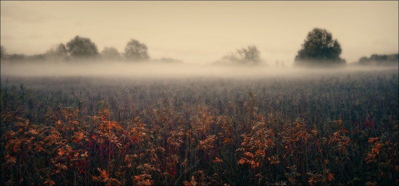 Вятка фото превью