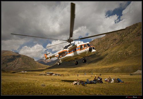 Золотая Джунгария