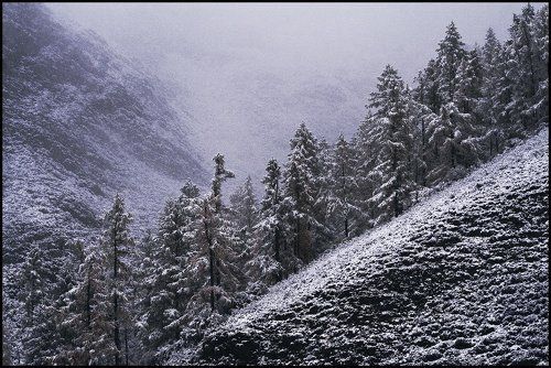 Первый Снег