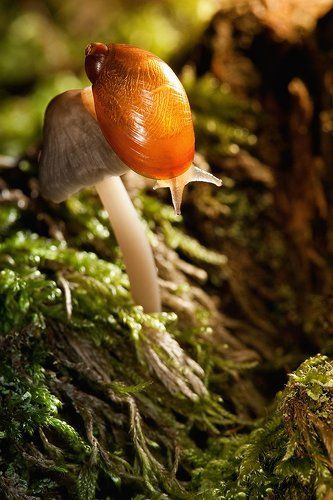 Золотая осень