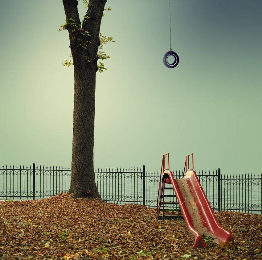 tree, slide, tire, hanging, fence, ocean, leaf, autumn, Caras Ionut