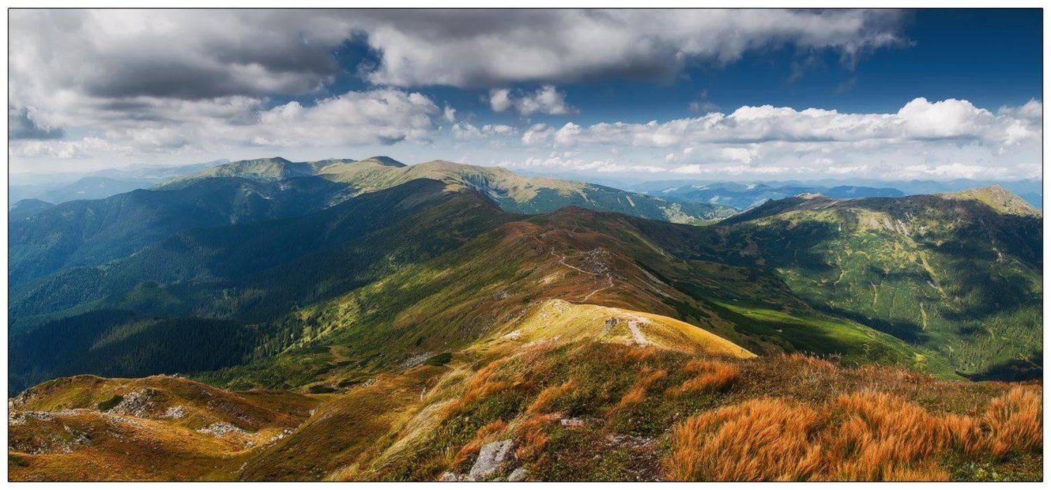 , Денис Кривой