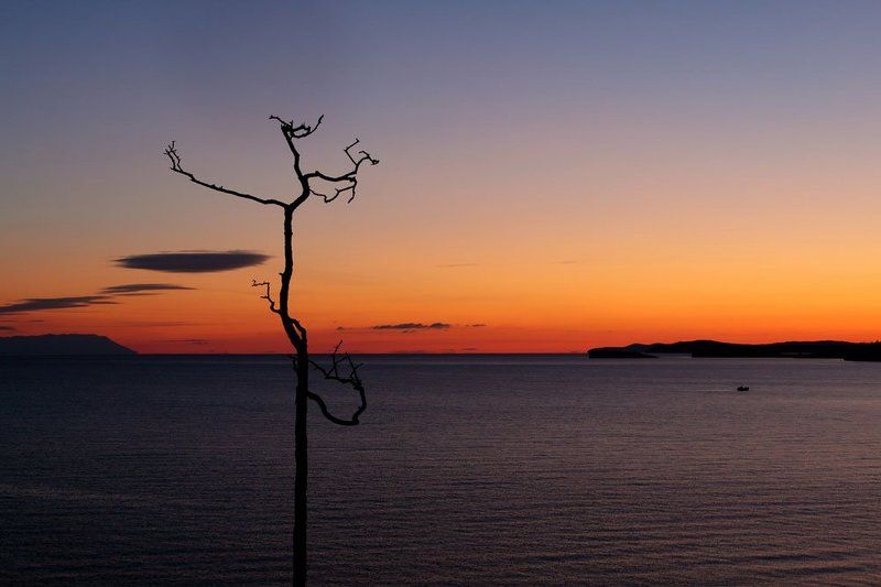 Про самых первых рыбаков фото превью