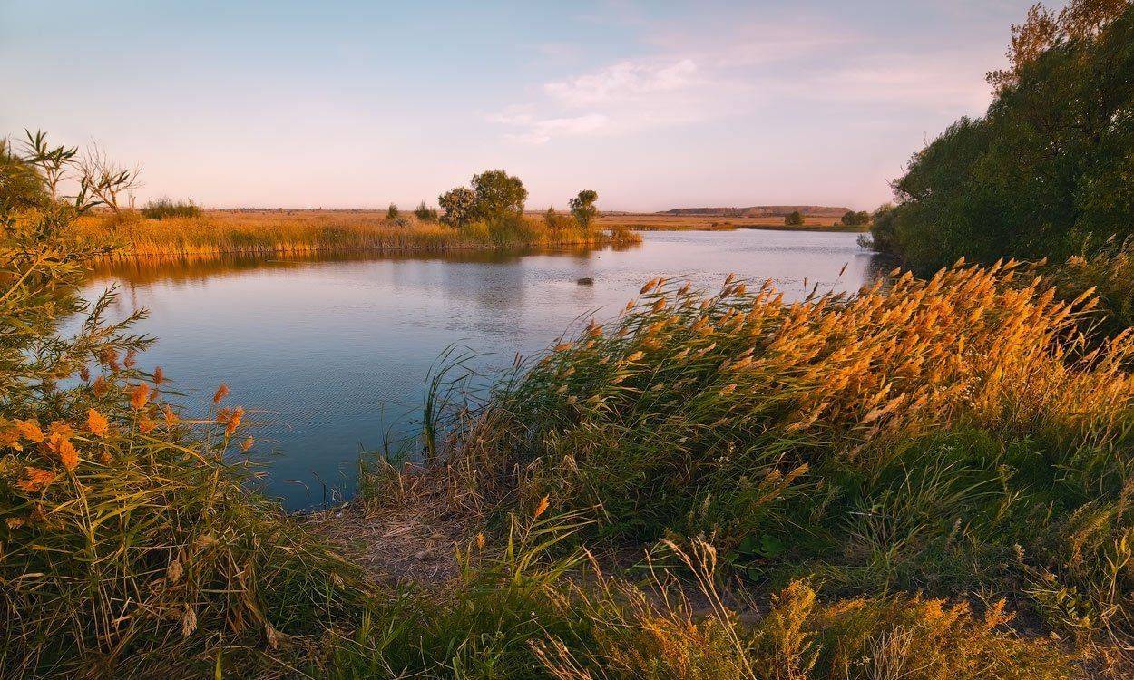, Андрей Журавлев