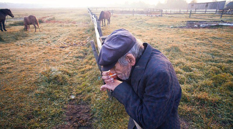 *** фото превью