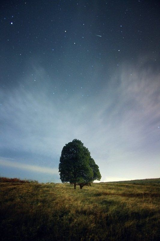 Silent Night ... фото превью
