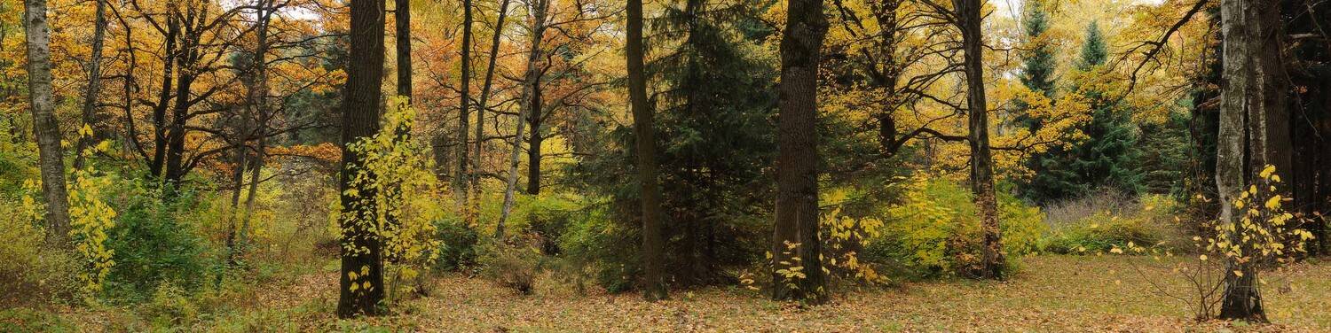 , Сергей Седов