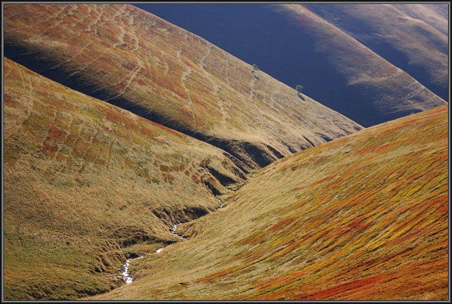 карпаты, Тарас