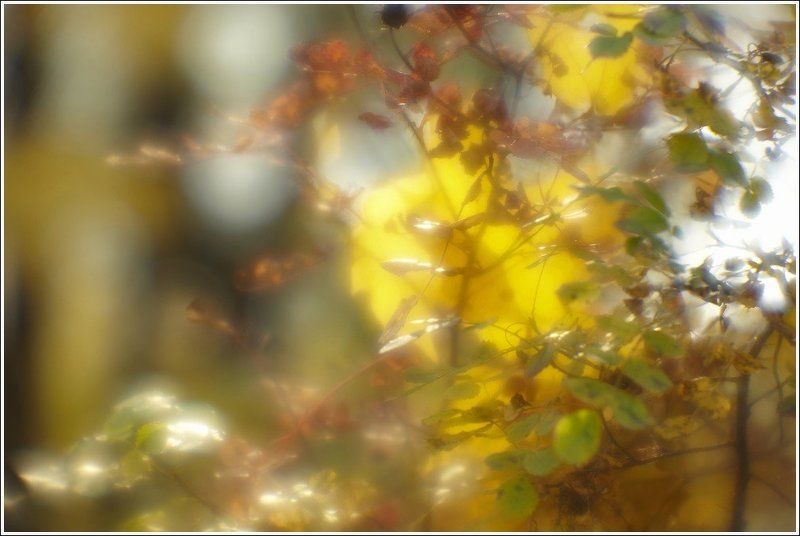 mood фото превью