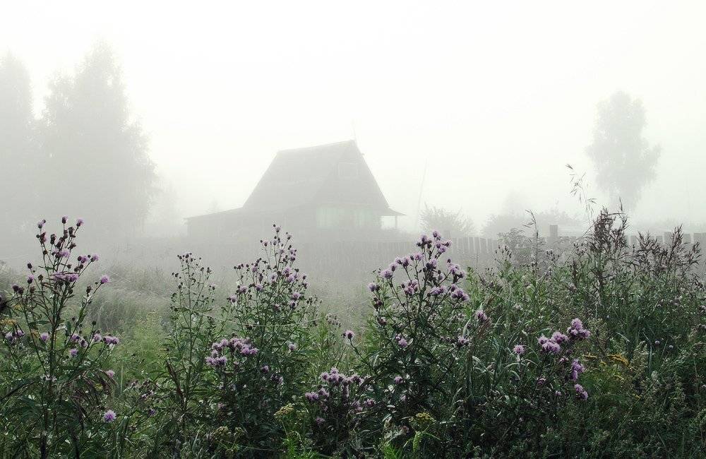 , Николай Морский