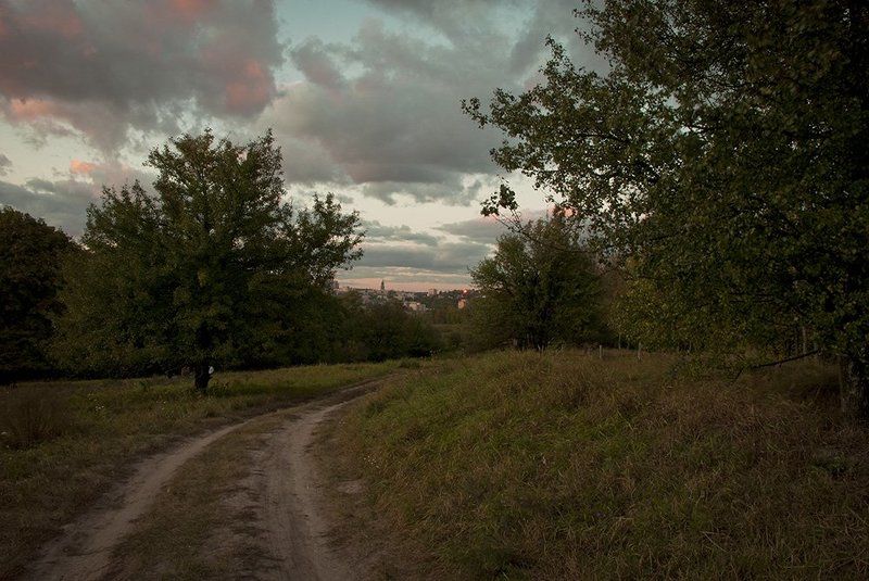 вечер,облака,закат,дороги,деревья,трава. Предгрозовая рапсодия фото превью