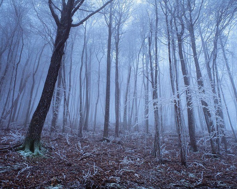 * фото превью