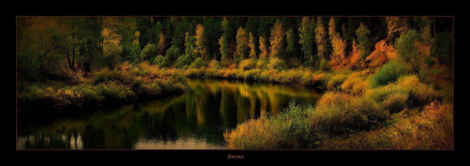 , rAdis (Дмитрий Станякин)