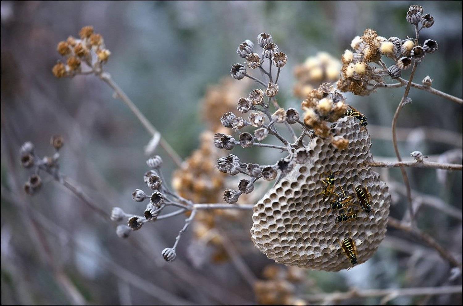 крым, кацивели, Лариса Гурьева