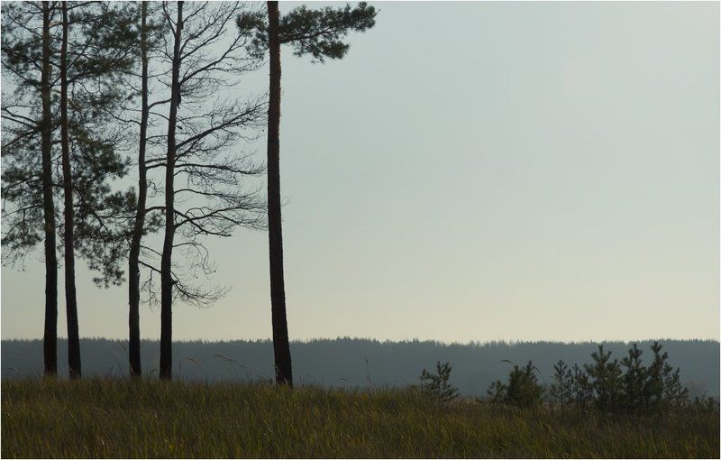 * * * фото превью