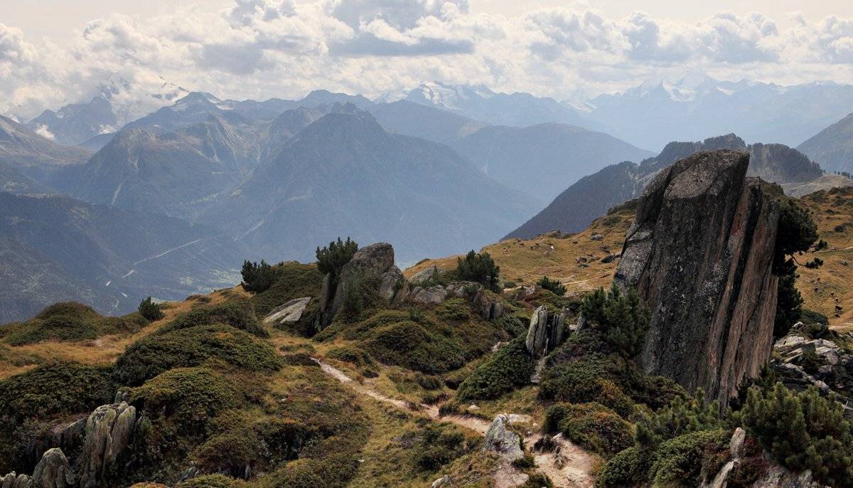 swiss, Матвеев Николай