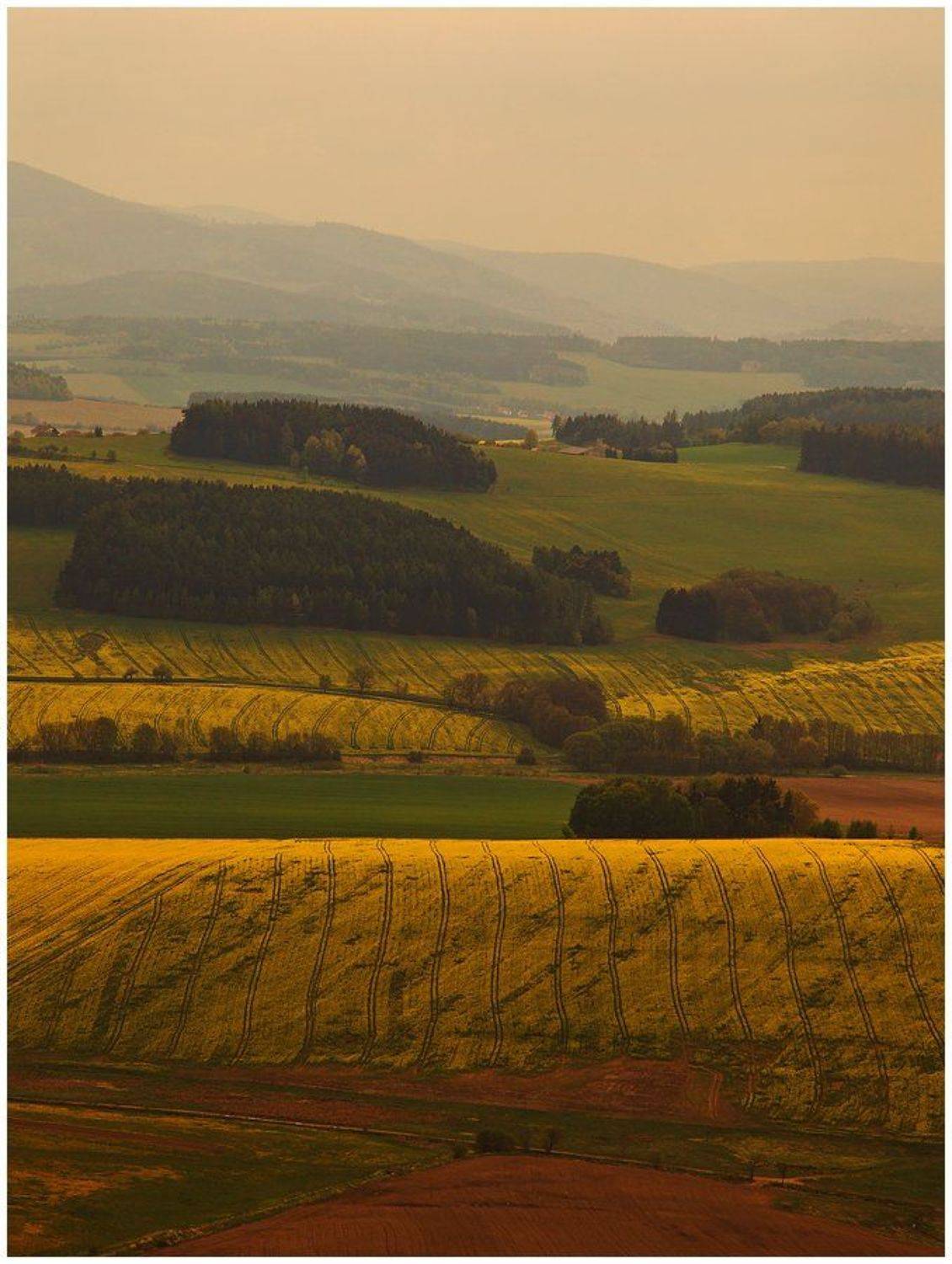чехия, пейзаж, поля, простор, Oleg Dmitriev