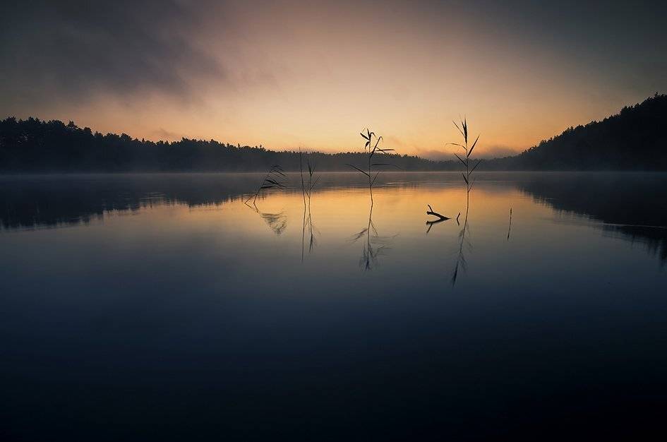 , Rimantas Bikulcius