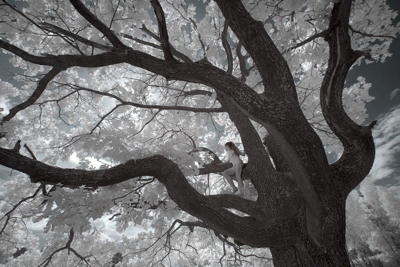 ню, лес, infrared Прогулка... фото превью