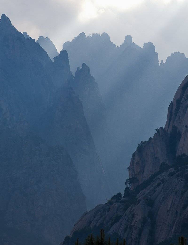 , Надежда Звягина / New Zealand