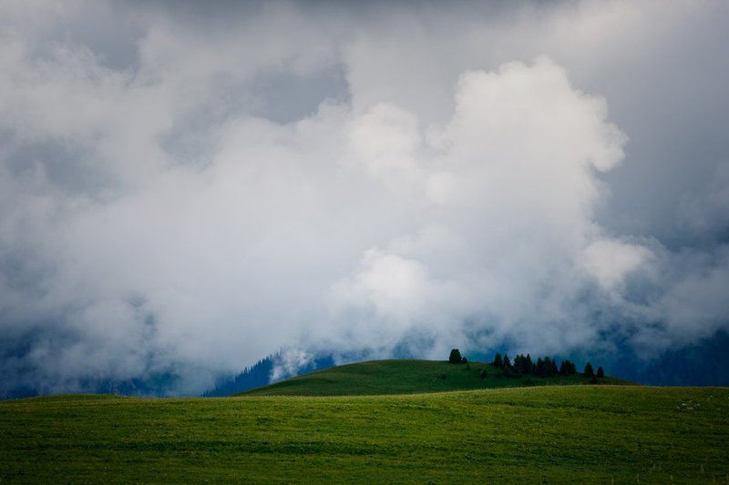 Табан карагой 2 фото превью