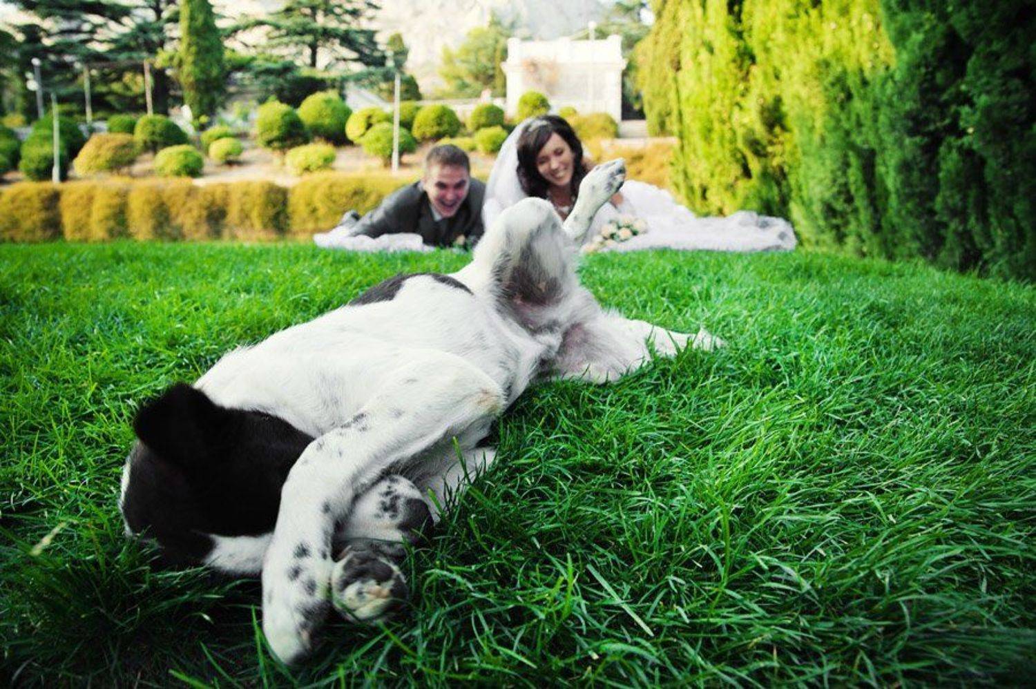 , Александр Борн