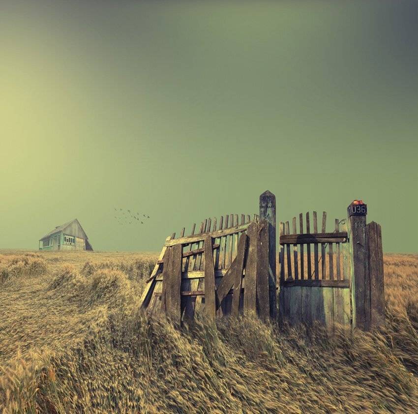 Nobody house. Автор: Caras Ionut , Caras Ionut