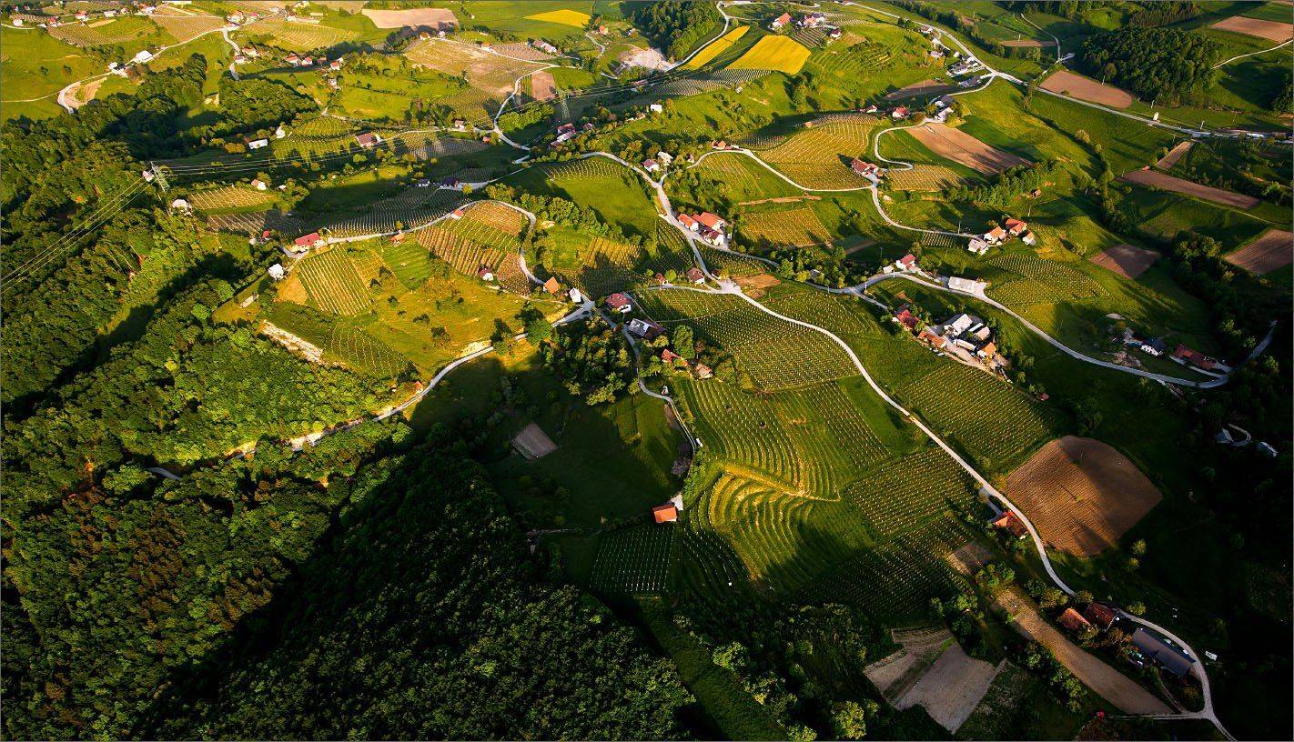 гдетатам, Нетушки