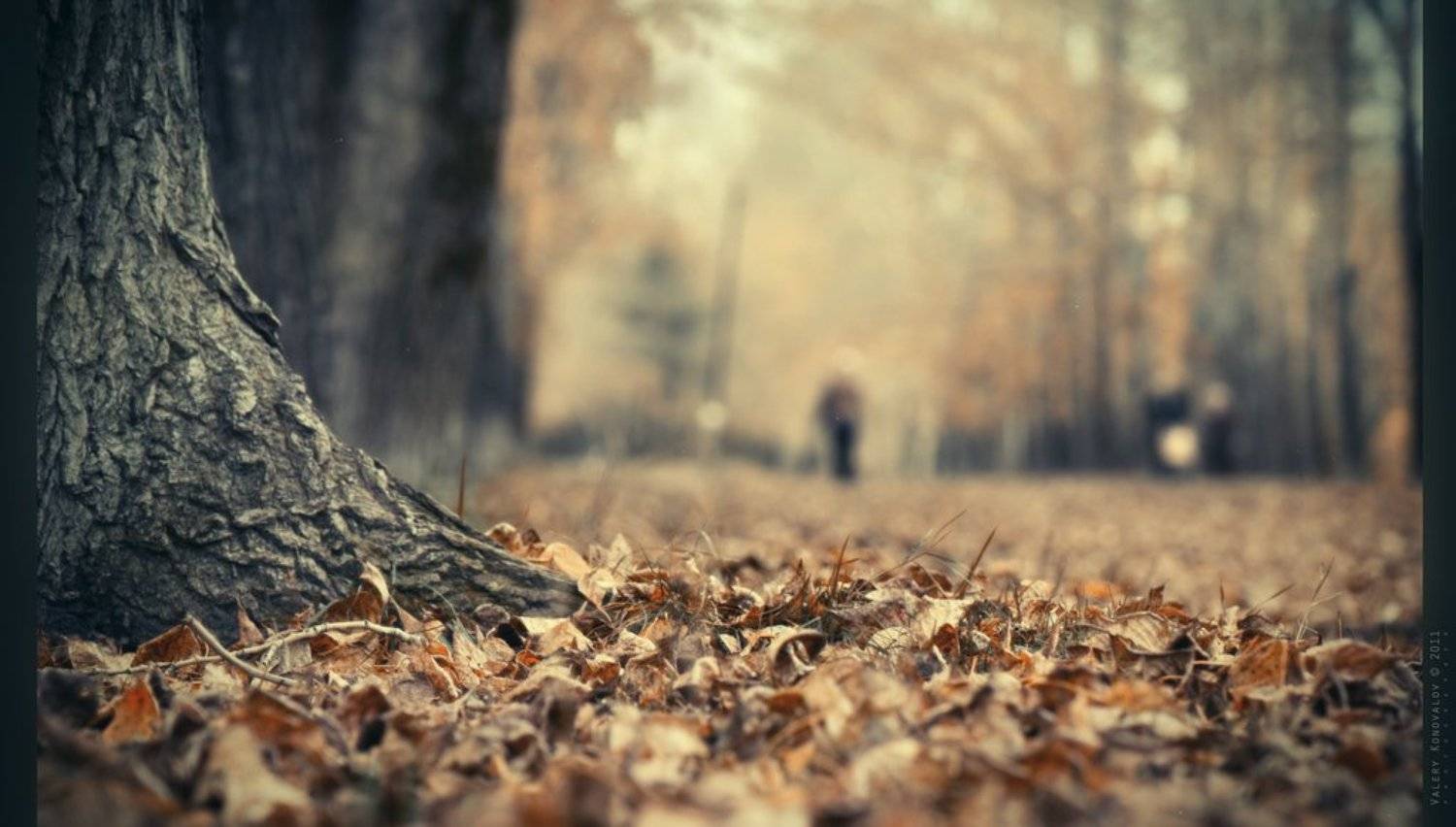 , Валерий Коновалов