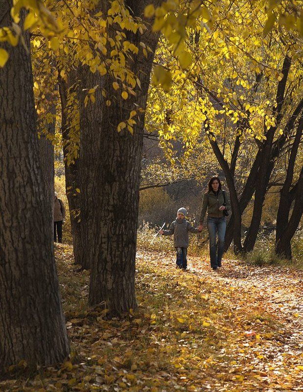 осень, папарацци, город, парк  фото превью