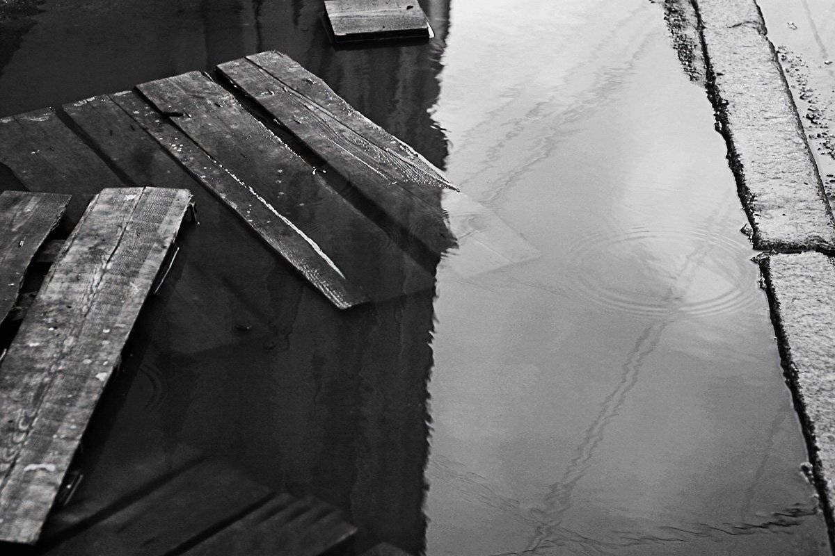 rain. water. autumn, fall, wood, bw, Vladimir Laur