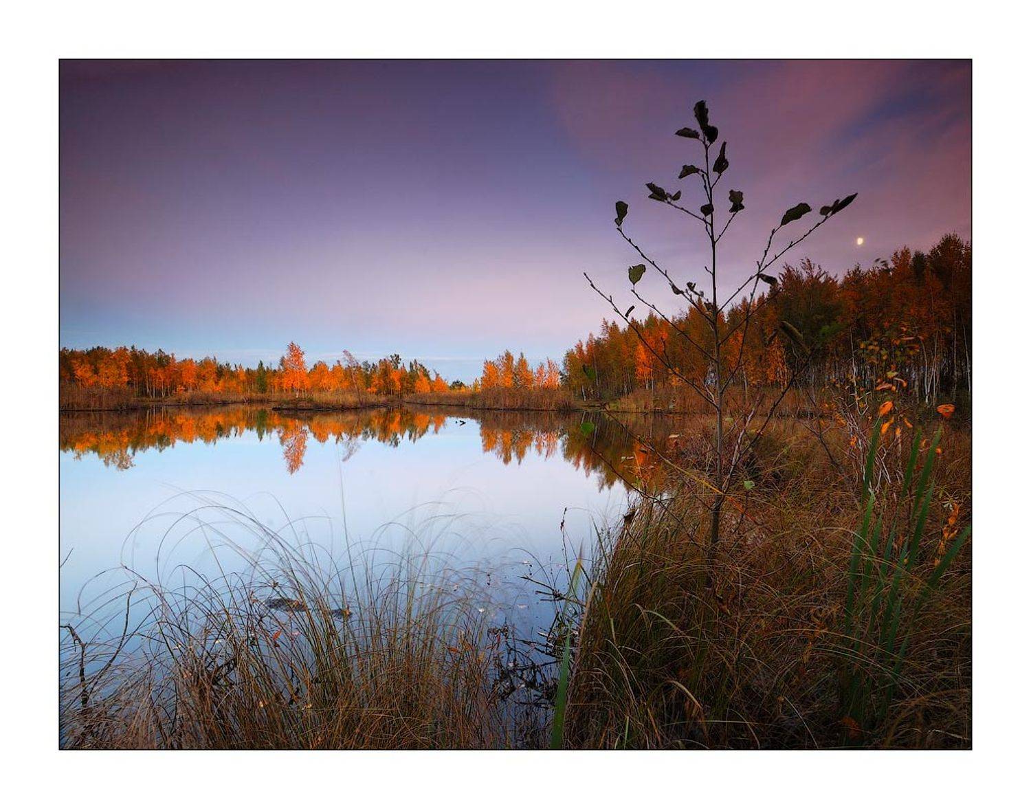 , Дмитрий Лялин