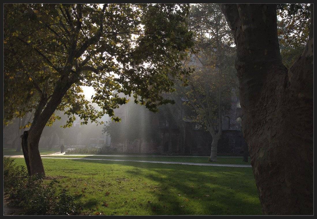 , Андрей Краснопольский