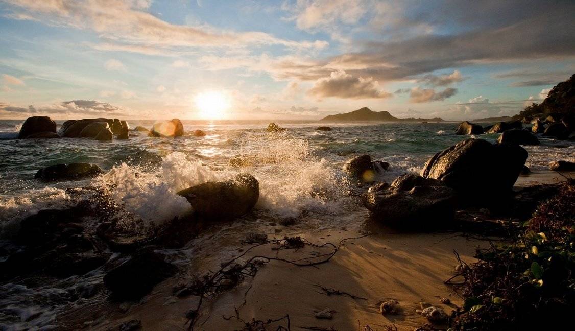 , Людмила Прокофьева