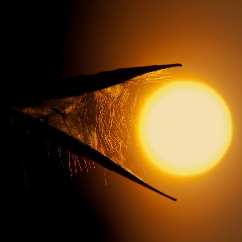 солнце, закат Украденное солнце... фото превью