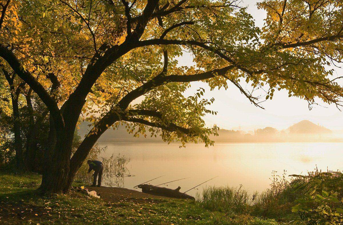 , Игорь Мелекесцев