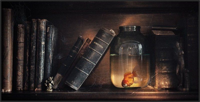 fish,glass,books,still life,art,photos,пыль,книги,банка,рыбка,свет,арт,фото,натюрморт,владимир,шипулин Пыль... (Dust...) фото превью