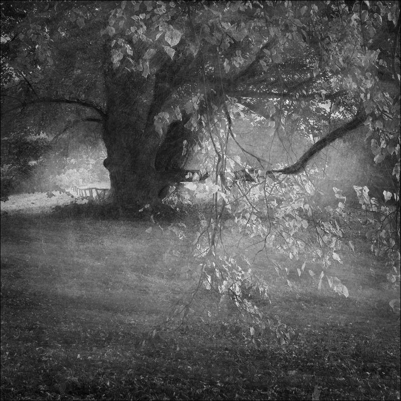 Ровестник старины глубокой фото превью