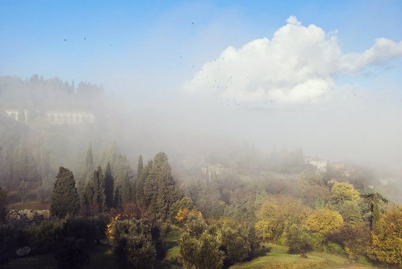 фьезоле, флоренция, италия, пейзаж, туман Туманный Фьезоле фото превью