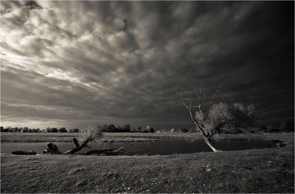 , Николай Шахманцир