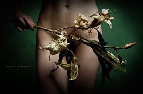 Chamber №