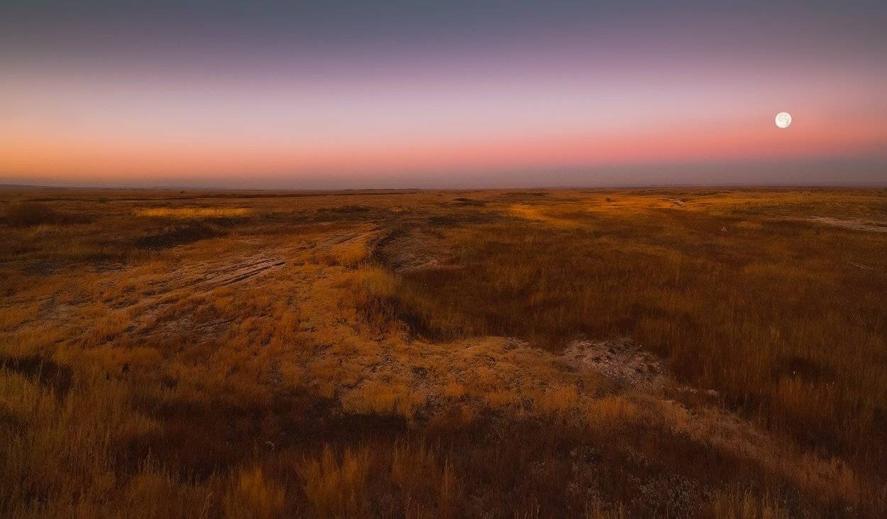 , Андрей Журавлев