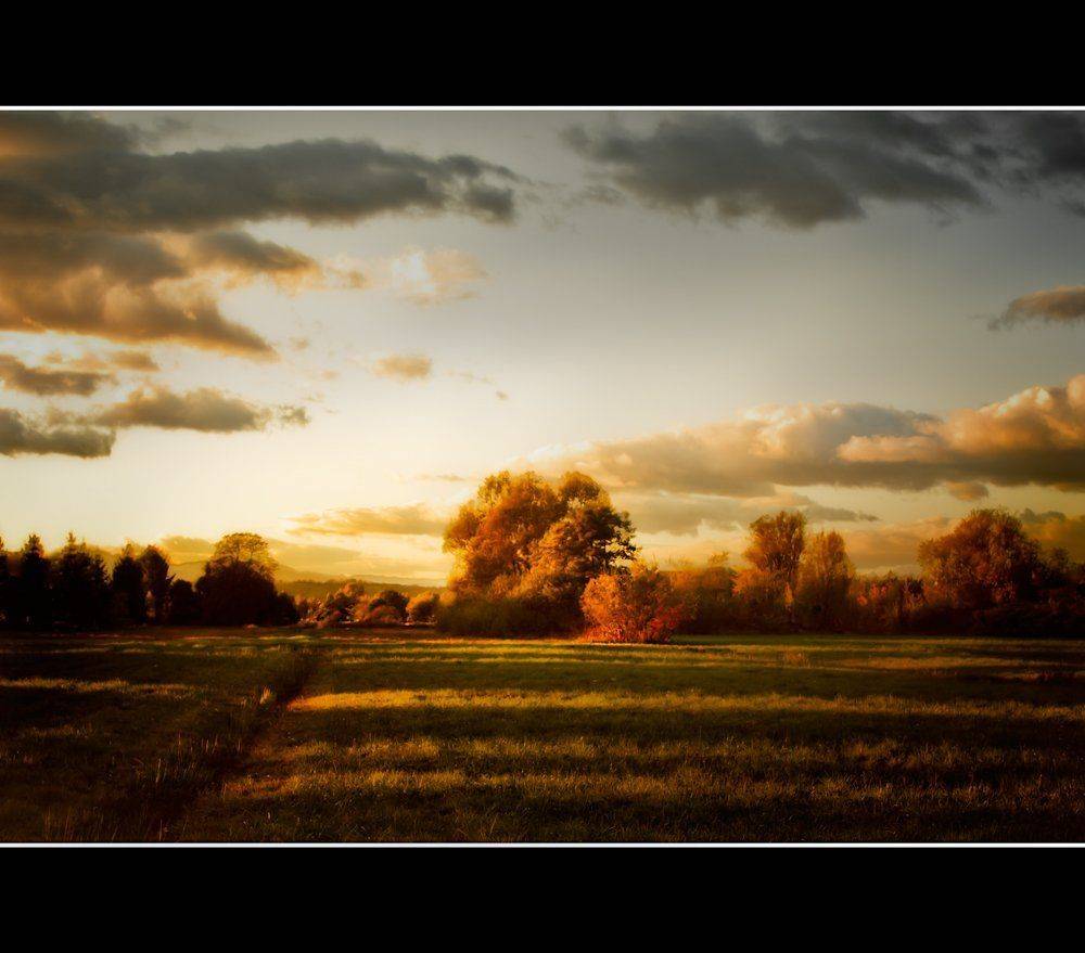 treeline, red, sunset, autumn, meadow, Zdravko