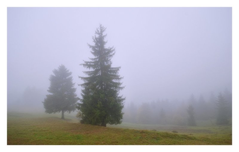 карпаты Когда с гор спускаются облака фото превью