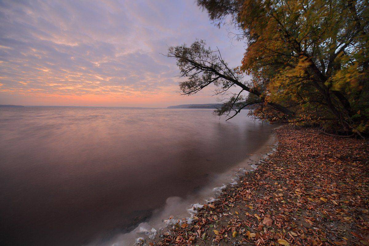 , Михаил Псарёв